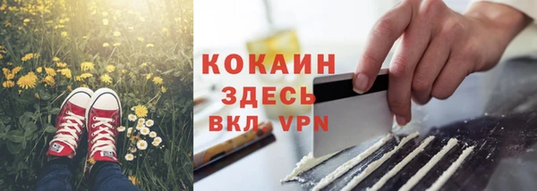 стаф Заводоуковск
