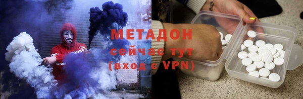 индика Ельня