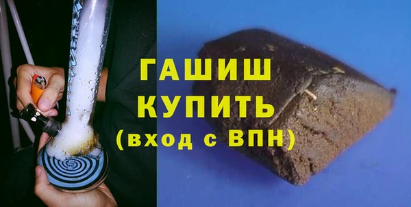 индика Ельня