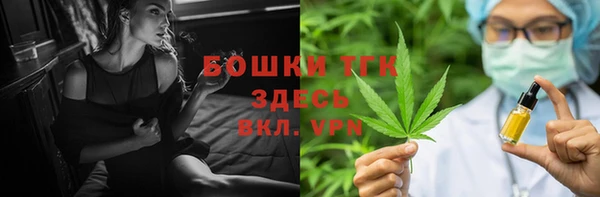 индика Ельня
