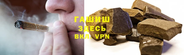 индика Ельня