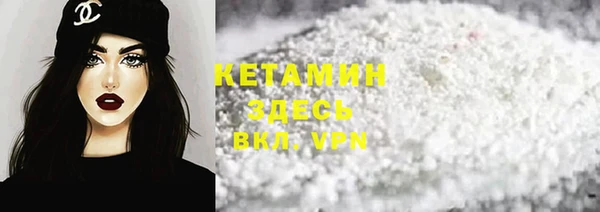 индика Ельня