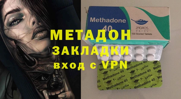 индика Ельня