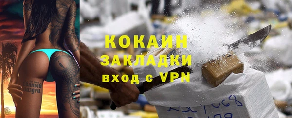индика Ельня