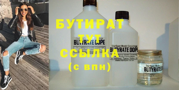 индика Ельня