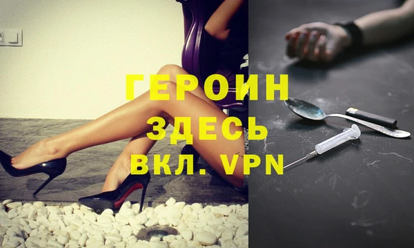 индика Ельня