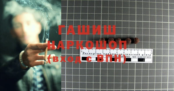 стаф Заводоуковск
