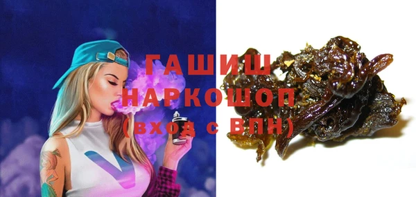 индика Ельня