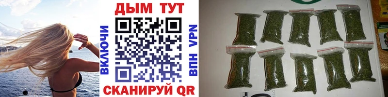 Каннабис OG Kush  Симферополь 